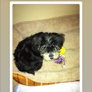 Meet your Posher, Jorge